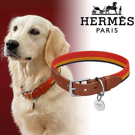 hermes pet accessories|hermes pet h gift set.